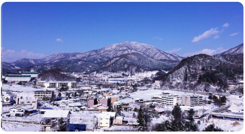 조경 사진