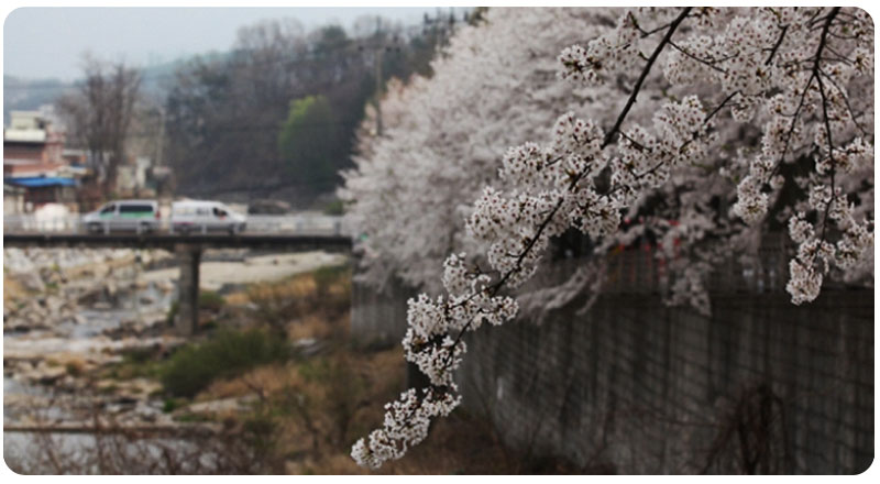 산책로 및 등산로 사진