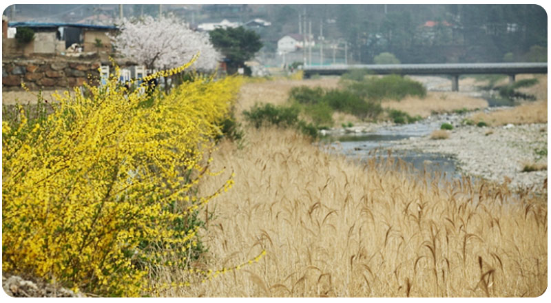 산책로 및 등산로 사진