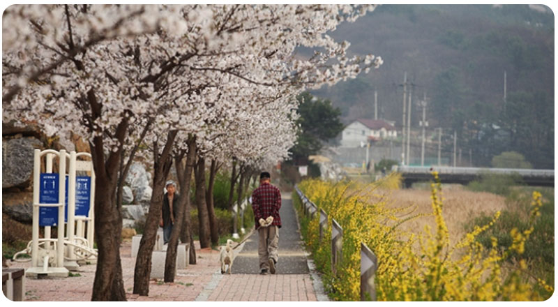 산책로 및 등산로 사진